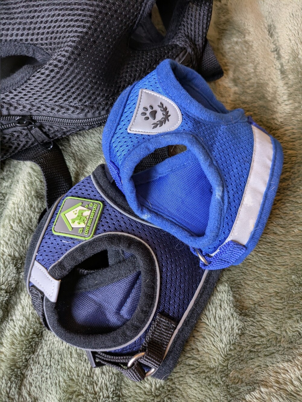Xs Harnesses And Pet Carrier